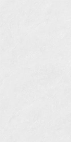 RSP12503-2