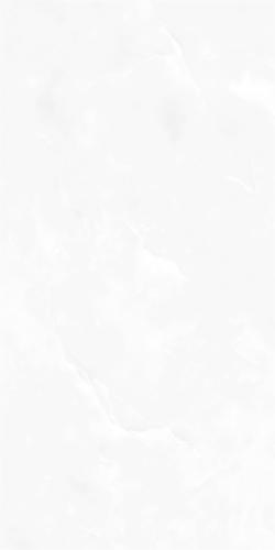 RSP12505-4