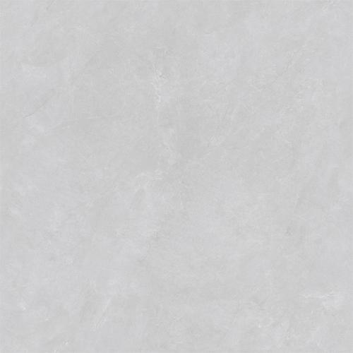 RG88309-4